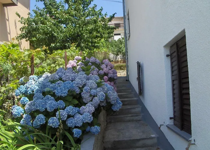 Apartmani Mataija
